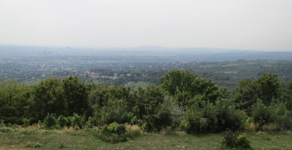 Kahlenberg Mountain in the Vienna Woods